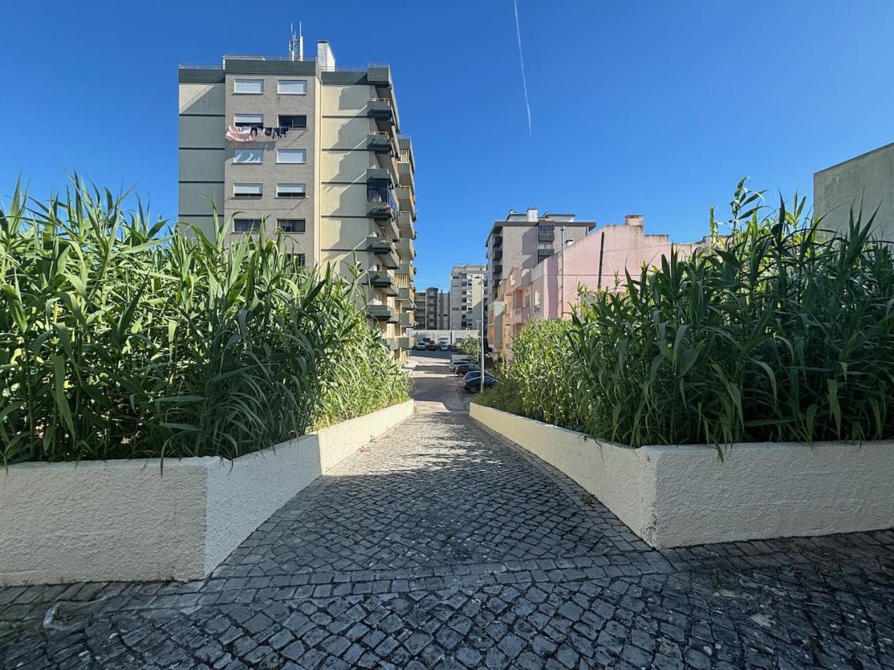 Rosario - Two Bedroom Apart- Buarcos - Figueira Da Foz Eksteriør bilde